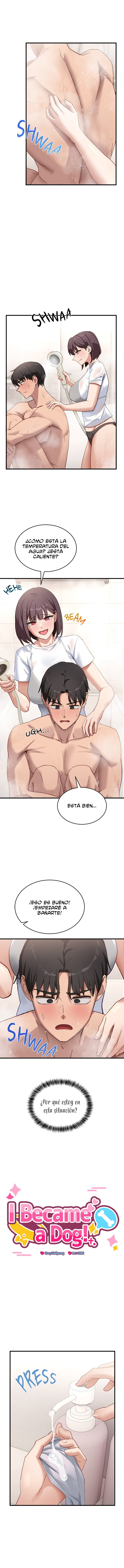 Imagen del capítulo 7